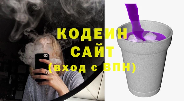 мдпв Киренск