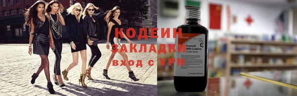 молекула духа Козельск