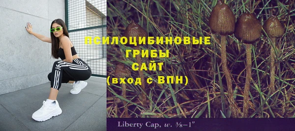 мдпв Киренск