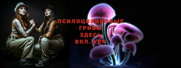 дживик Козловка