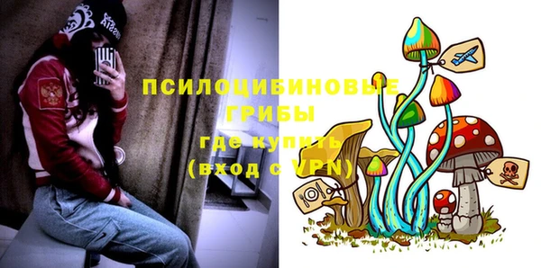 мдпв Киренск